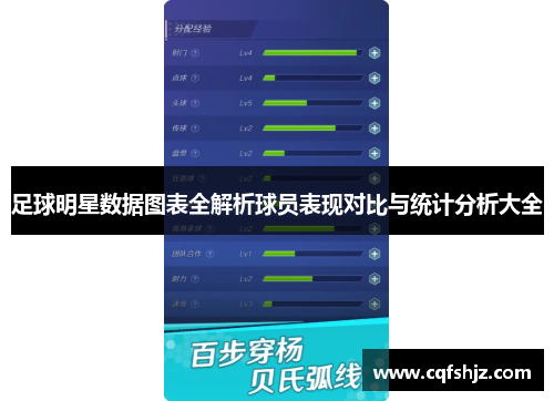 足球明星数据图表全解析球员表现对比与统计分析大全
