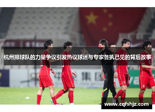 杭州排球队的力量争议引发热议球迷与专家各执己见的背后故事