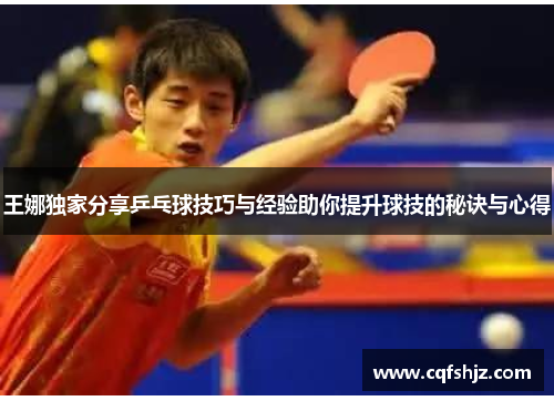 王娜独家分享乒乓球技巧与经验助你提升球技的秘诀与心得