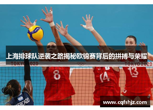 上海排球队逆袭之路揭秘欧锦赛背后的拼搏与荣耀